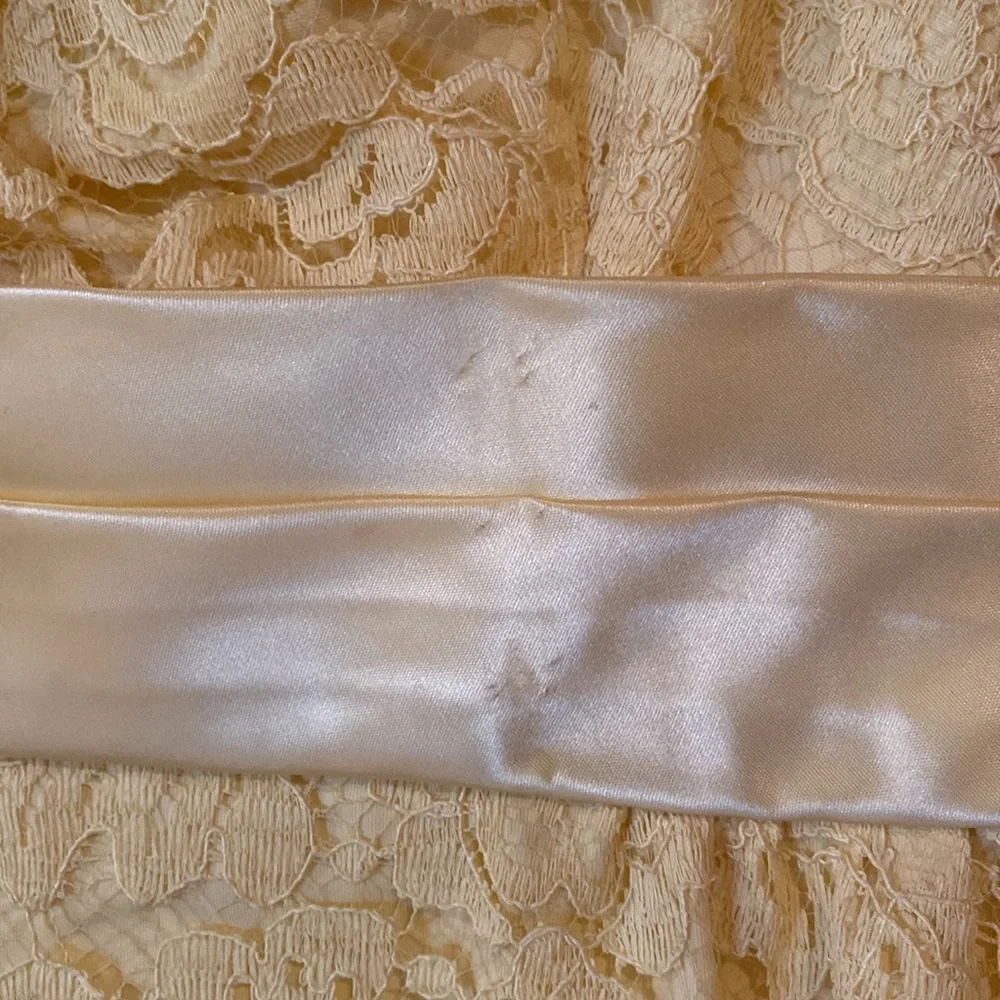 Vintage Formal Dress - Picture 3 of 17